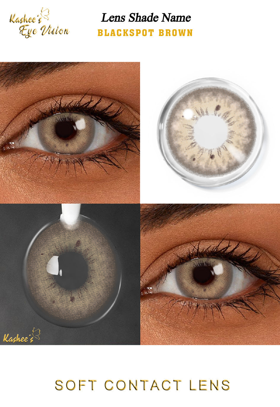 Kashees Lens Blackspot Brown