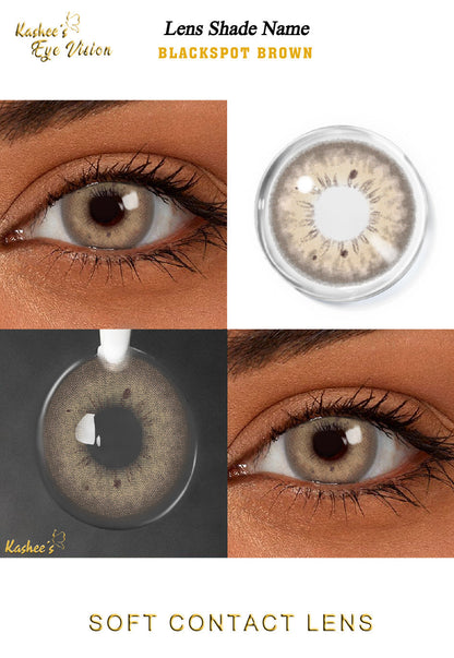Kashees Lens Blackspot Brown